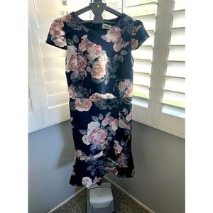 Eliza J Jaquard Dress